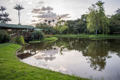 Jardín Botánico de Bogotá