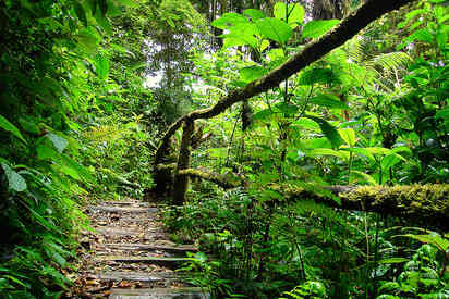 La Tigra National Park