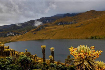 Lake Otún