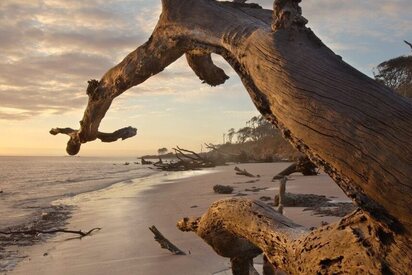 Little Talbot Island State Park