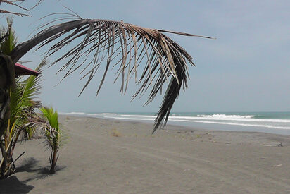 Playa de la Barqueta