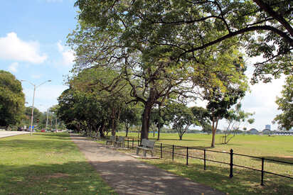 Queen's Park Savannah