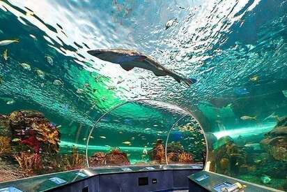 Ripley’s Aquarium of Canada