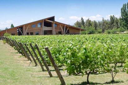 Santiago’s Vineyards