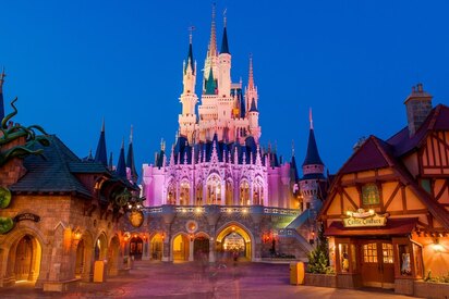 The Disney Magic Kingdom