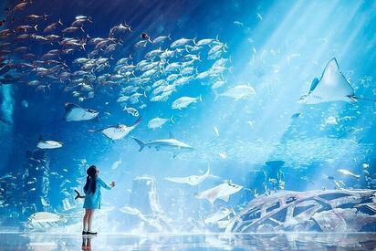 The Lost Chamber Aquarium Dubai 