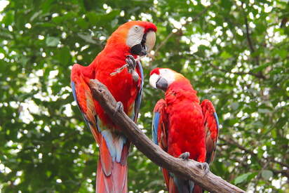 The Zoológico al Parque Histórico