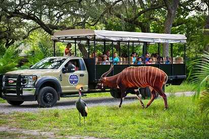 ZooTampa at Lowry Park