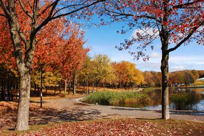 Parque Mont-Royal