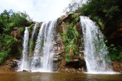 Amboro National Park 