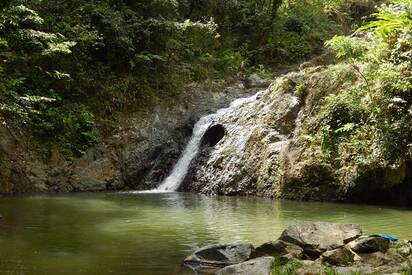 Argyle Waterfalls Port of Spain