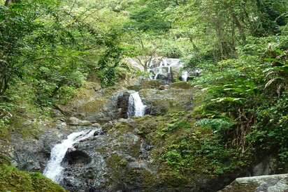 Argyle Waterfalls Trinidad and Tobago