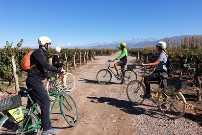 Bike-wine tour, Mendoza 