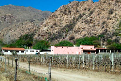 Bodega José L. Mounier