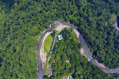 Borneo Rainforest Malaysia - Lowest Flight Fares Borneo Rainforest Malaysia
