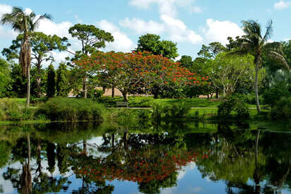 Centro de conservación de Pantera West Palm Beach 