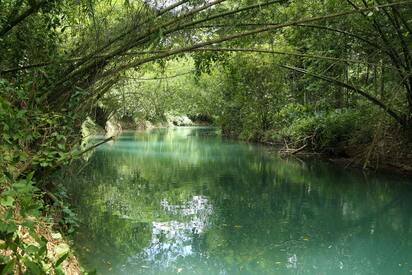 El río Martha Brae Montego Bay