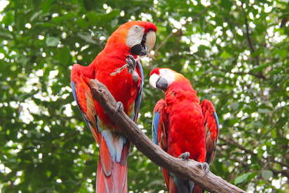 El zoológico en Parque Histórico Guayaquil 
