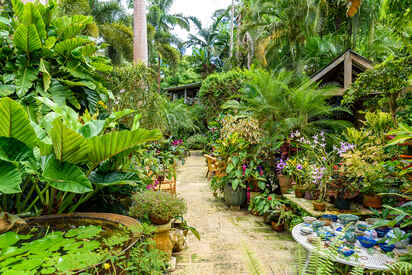 Hunte’s Garden