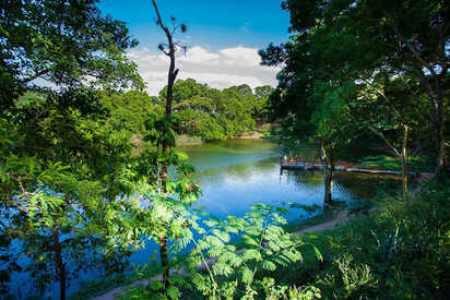 Jardin Botanico Municipal