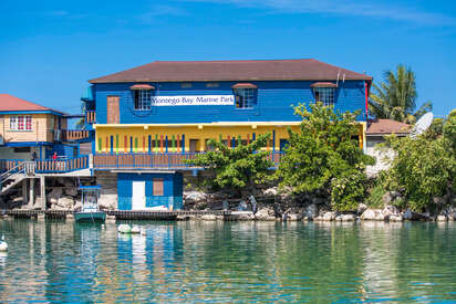 Montego Bay Marine Park