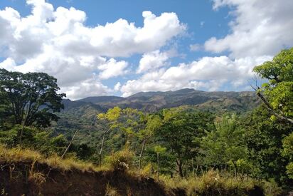 Monumento Natural Pico Diego de Ocampo