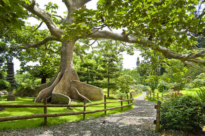 Nacional Jardín Botánico Santo Domingo