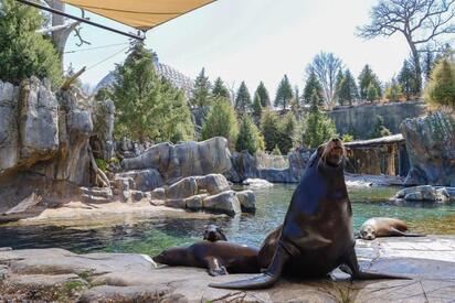 Omaha's Henry Doorly Zoo and Aquarium