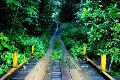 Parque Nacional Soberania