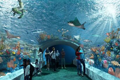 Shedd Aquarium Chicago