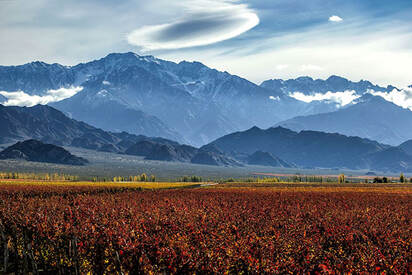 Uco valley 