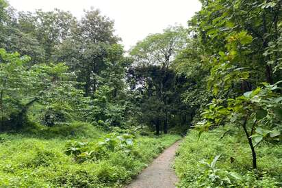Wireless Hill View Point Guwahati - Lowest Flight Fares Wireless Hill View Point Guwahati