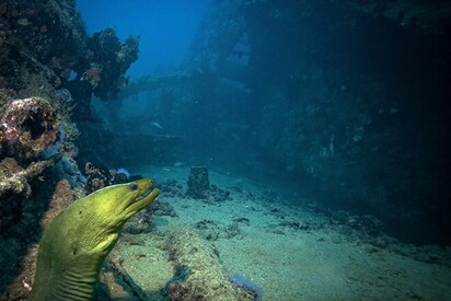 Antilla Shipwreck