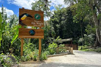 Asa Wright Nature Centre Lodge Trinidad y Tobago
