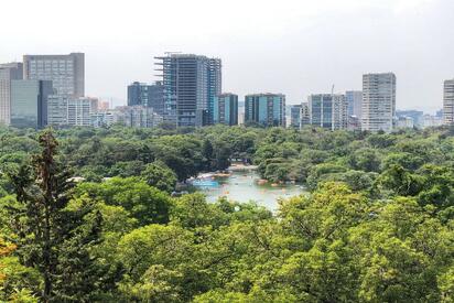 Bosque de Chapultepec México City 