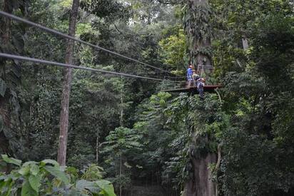 Canopy Tour San Pedro Sula