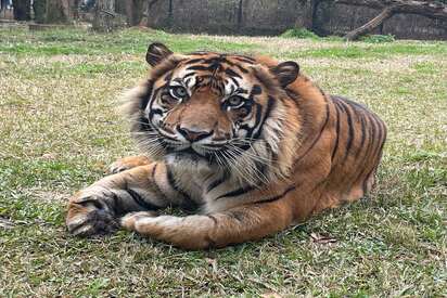 Jackson Zoological Park Mississippi 