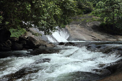 Kozhippara Falls Calicut 