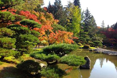 Parque de descubrimiento Seattle 