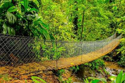 Tour de Canopy San Pedro Sula 