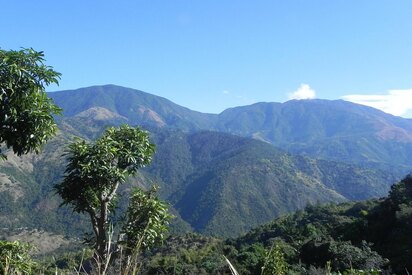 Visitar las Montañas Azules de Jamaica Kingston 