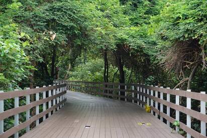 Walk amongst mangroves on Santay Island.