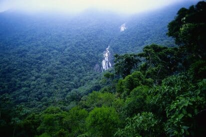 Adolpho Ducke Forest Reserve Manaus