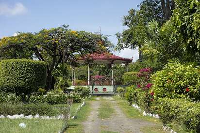Botanical Gardens Georgetown 