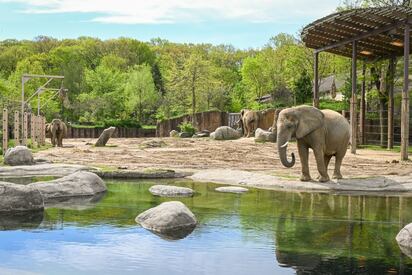 Cleveland Metropolis Zoo Cleveland 