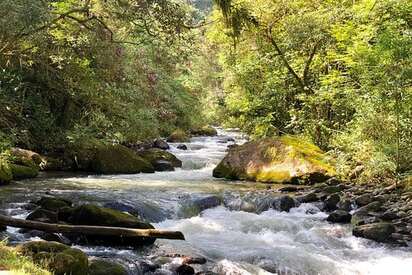 Creaciones de la naturaleza Pereira 