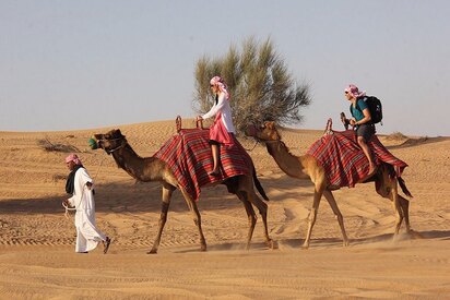 Dubai Desert Conservative Reserve Dubai 