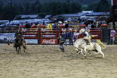 Jackson Hole Rodeo Jackson Hole 