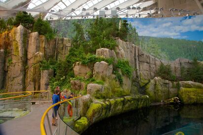 Montreal Biodome Montreal 