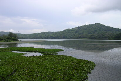 Parque Nacional de Soberanía Panamá 